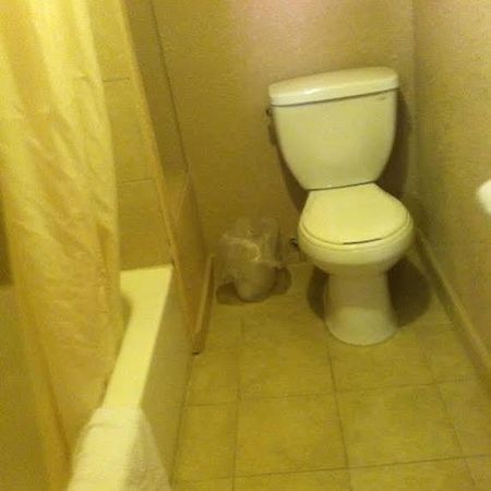 White Mountain Motel Springerville エクステリア 写真